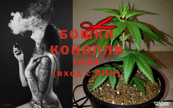 СК Алзамай