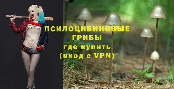 синтетический гашиш Алексин