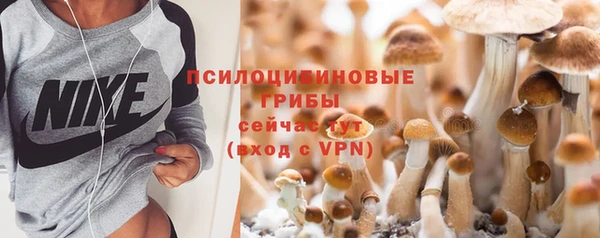 гидропоника Алексеевка
