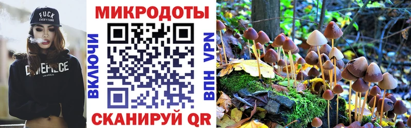 Псилоцибиновые грибы мицелий Дубна