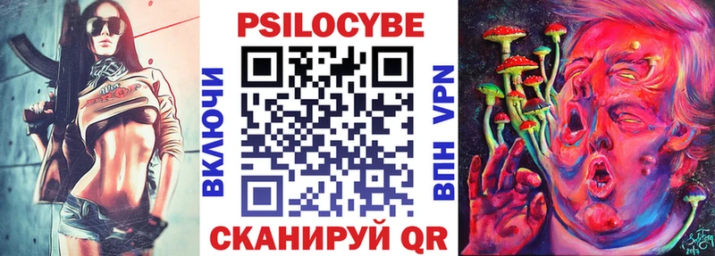 Псилоцибиновые грибы Psilocybine cubensis  Дубна 