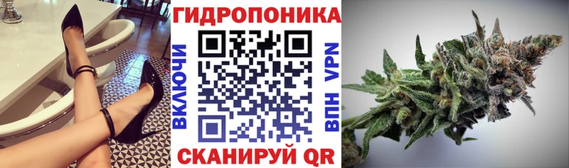 Шишки марихуана планчик  Дубна 